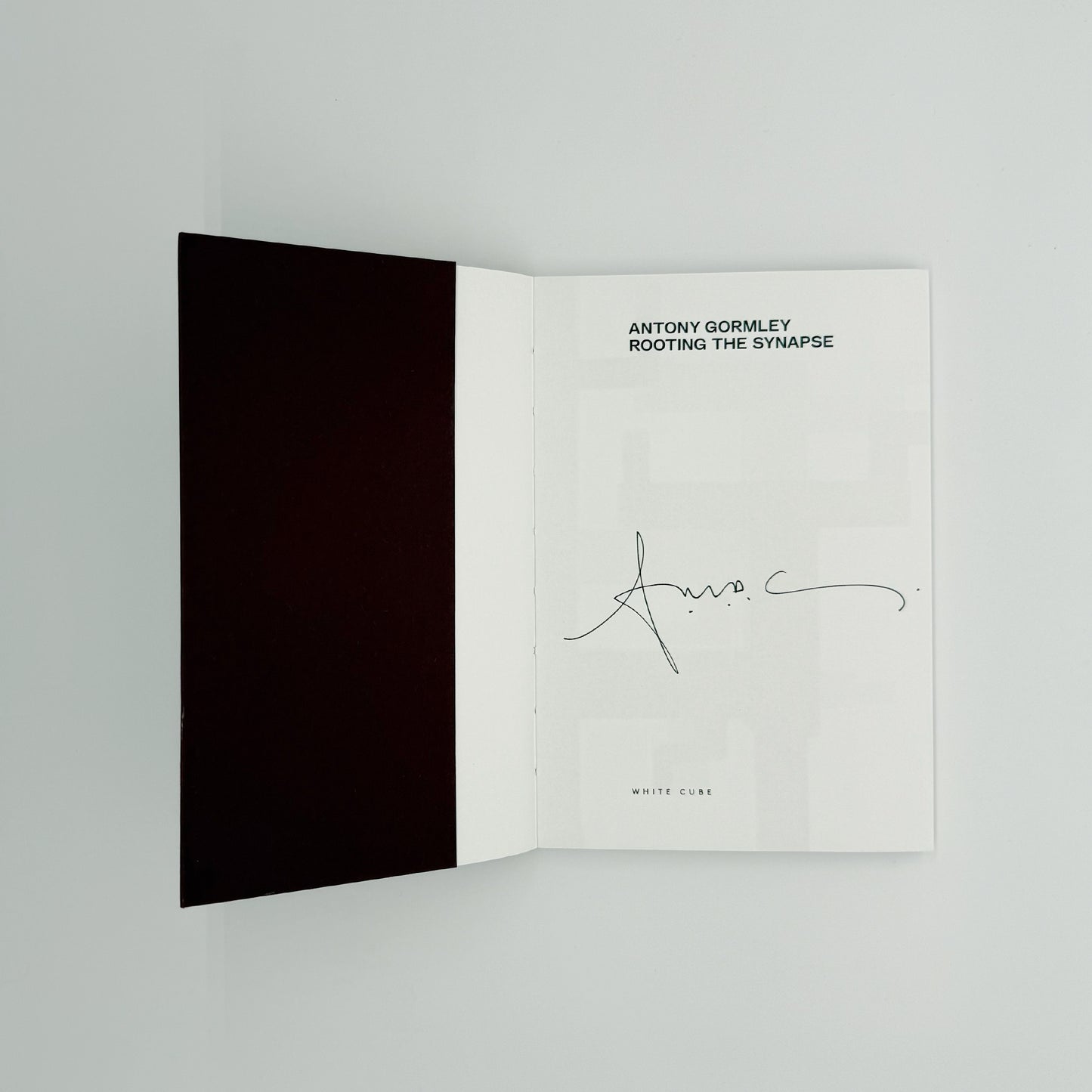 Gormley, Antony - Rooting the Synapse (Signed)