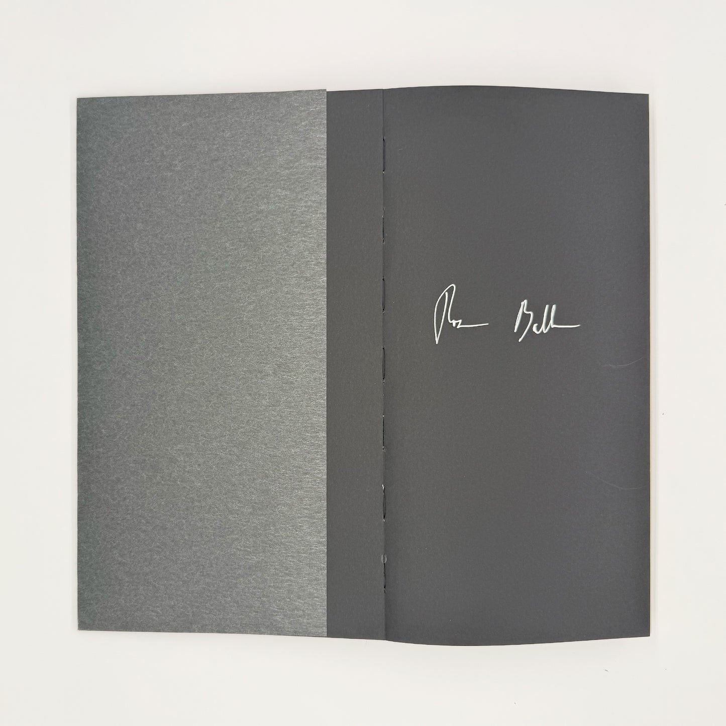 Ballen, Roger and Tinti, Gabriele - Hungry Ghosts (Signed)