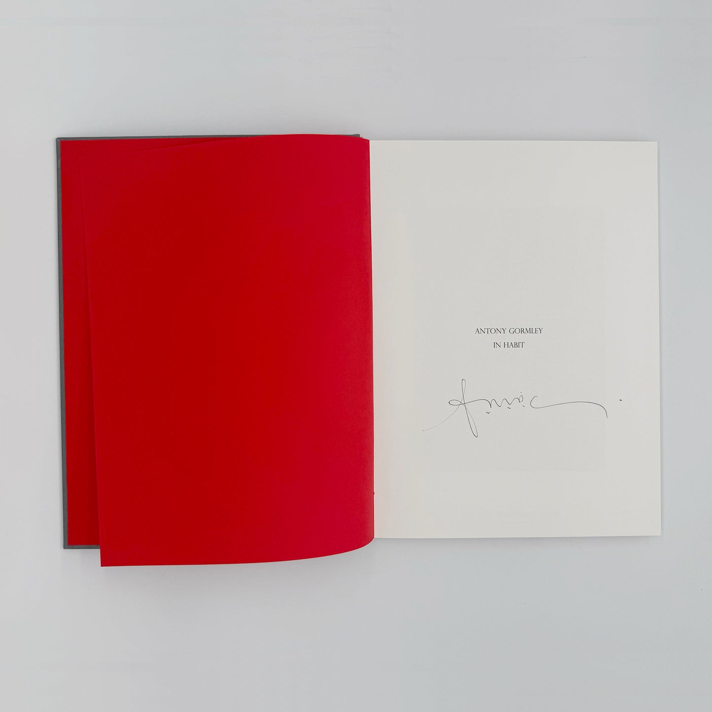 Gormley, Antony - In Habit (Signed)