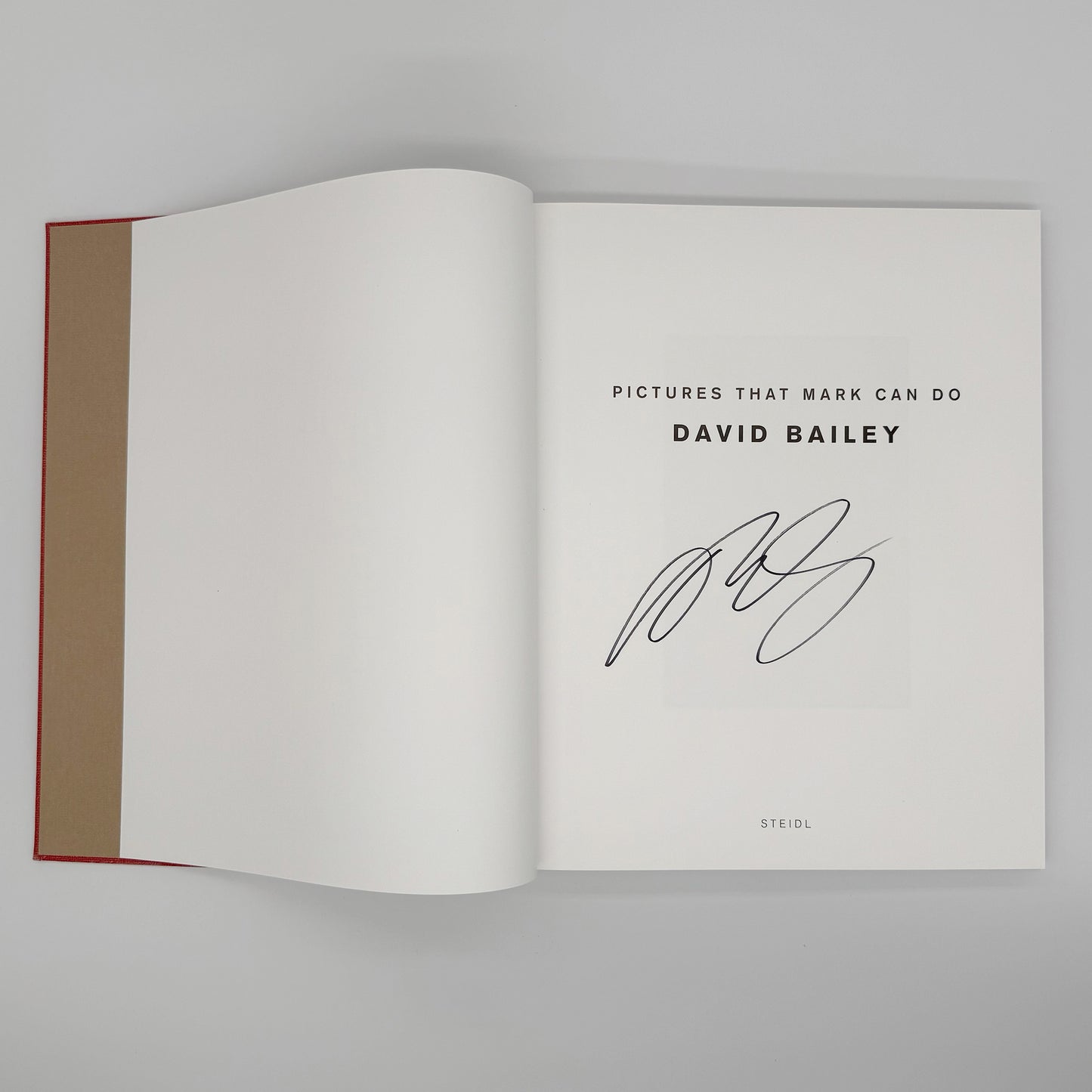 Bailey, David - Pictures That Mark Can Do (Signed)