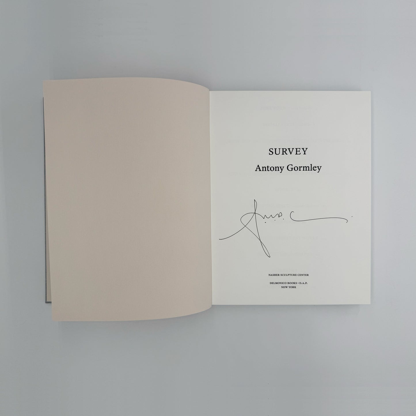 Gormley, Antony - Survey (Signed)
