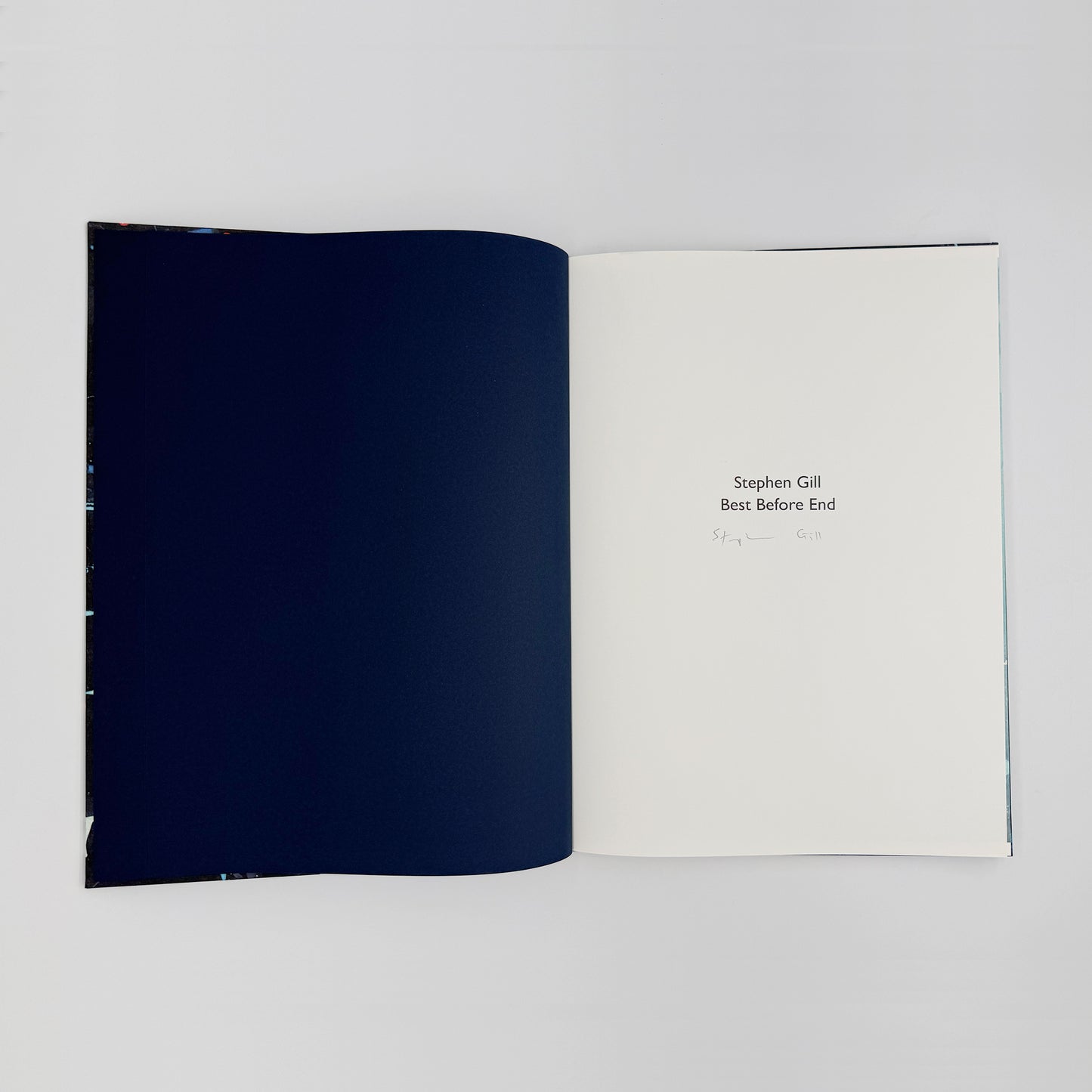 Gill, Stephen - Best Before End (Signed)