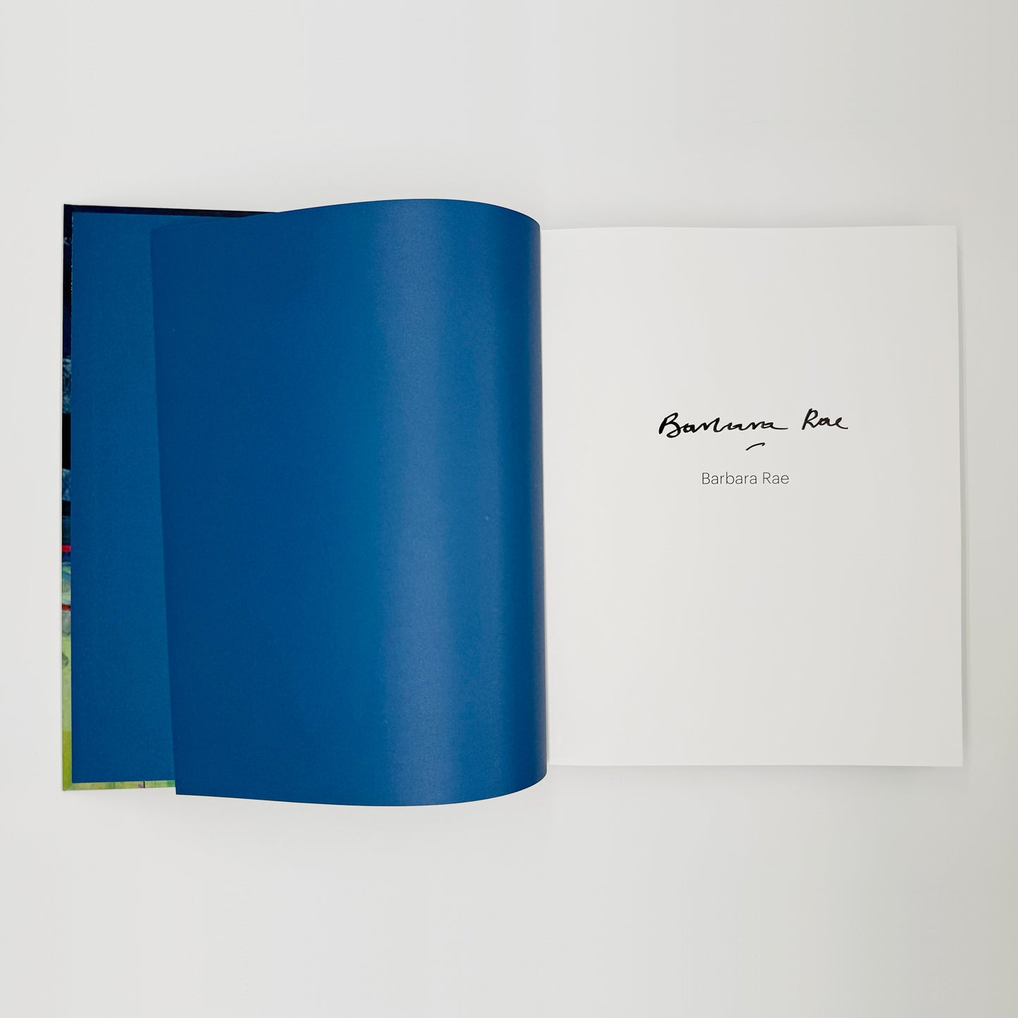 Rae, Barbara - Barbara Rae/Monograph (Signed)