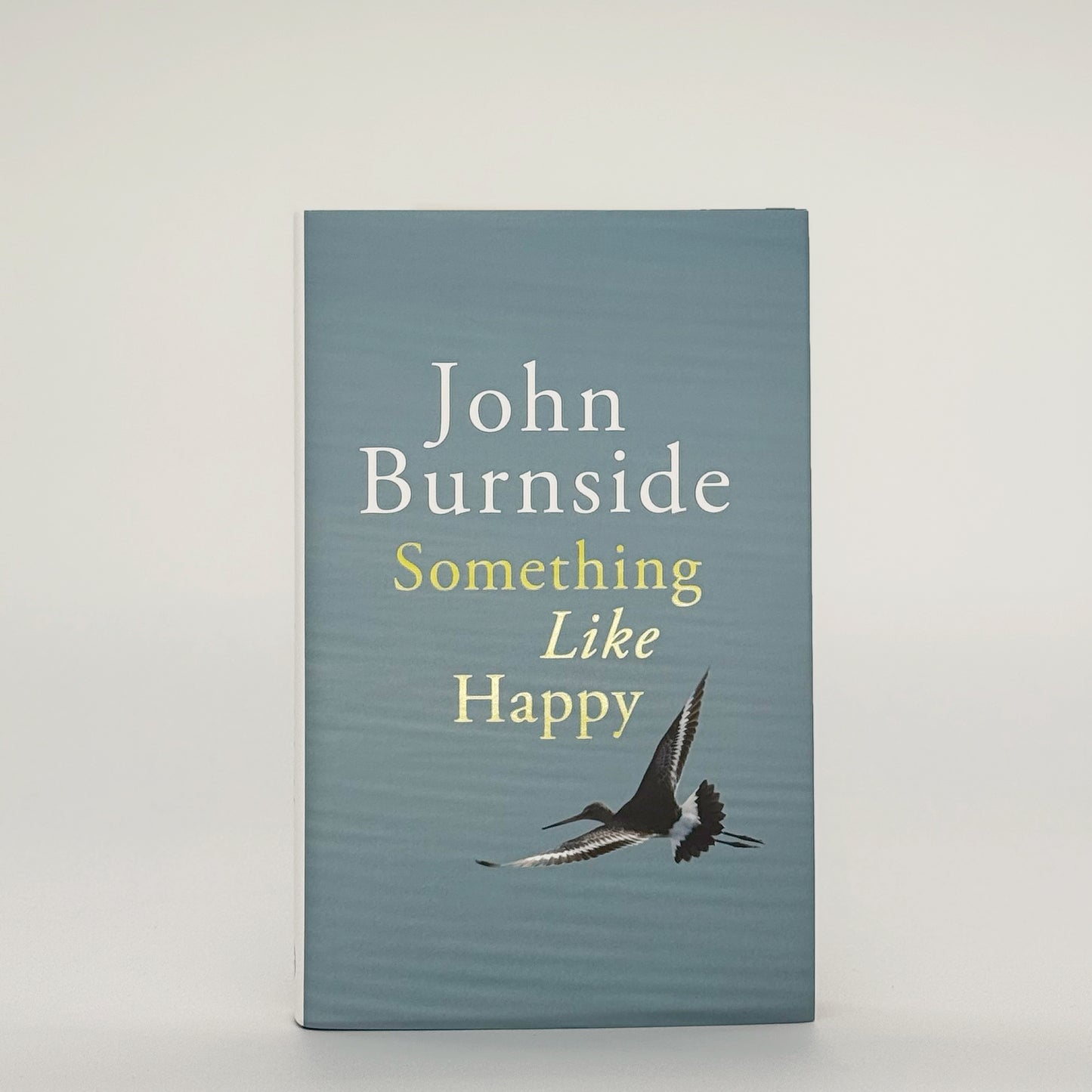 Burnside, John - Something Like Happy (Signed)
