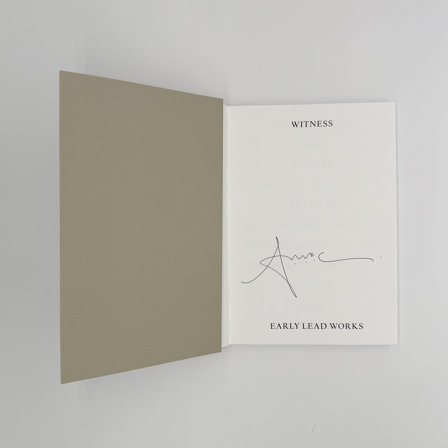 Gormley, Antony - Witness (Signed)