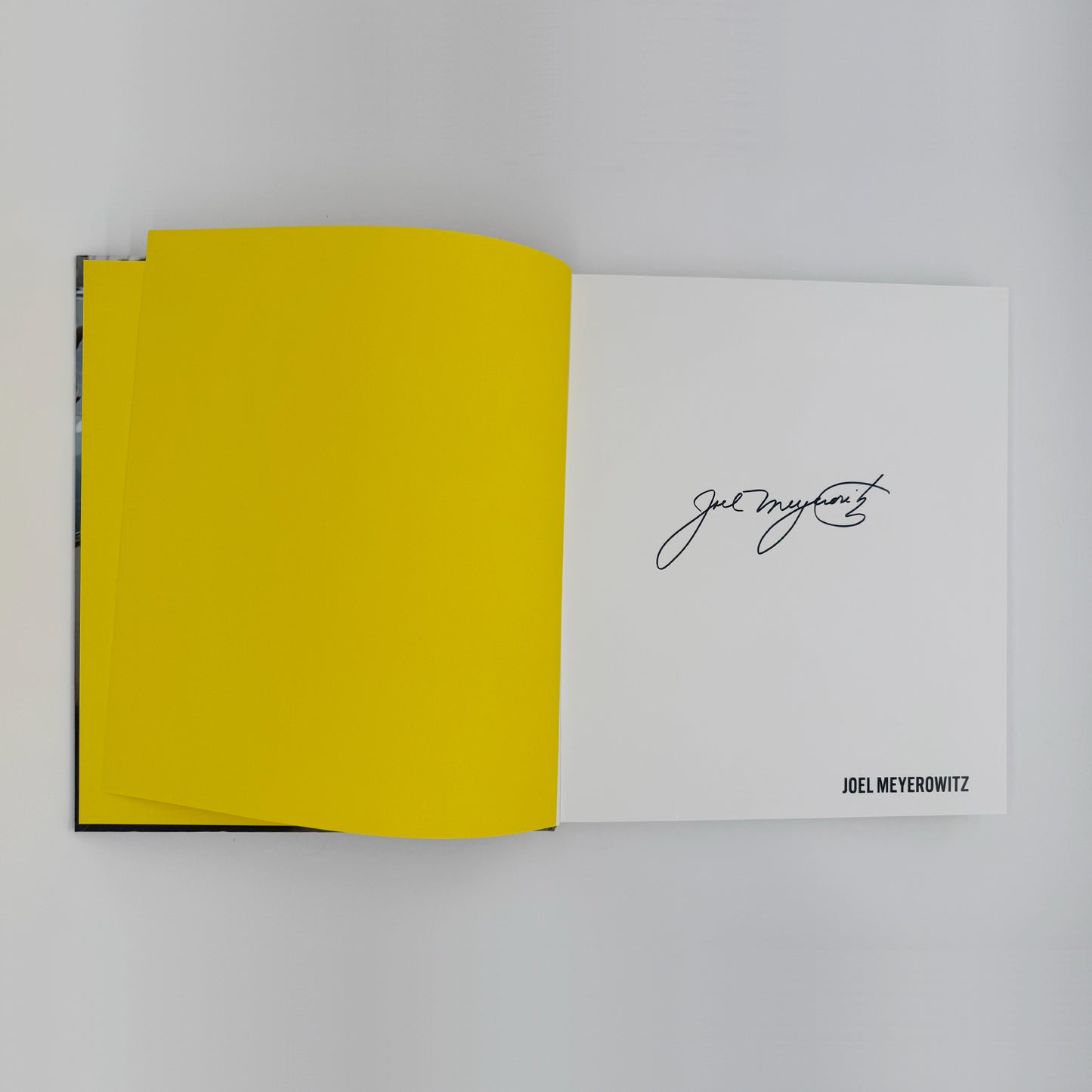Meyerowitz, Joel - A Sense of Wonder (Signed)